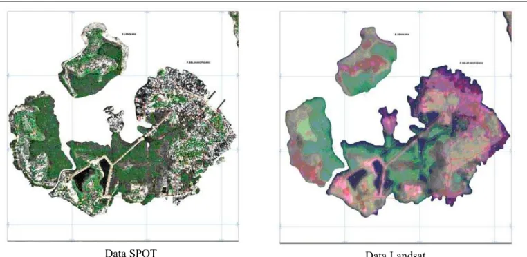 Gambar 4. Perbandingan informasi yang dapat diidentifikasi antara data SPOT dengan data Landsat 