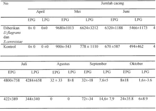 Tabel  1 Jumlah telur pergram tinja (EPG) dan jumlah larva pergram tinja (LPG) pada sapi potong