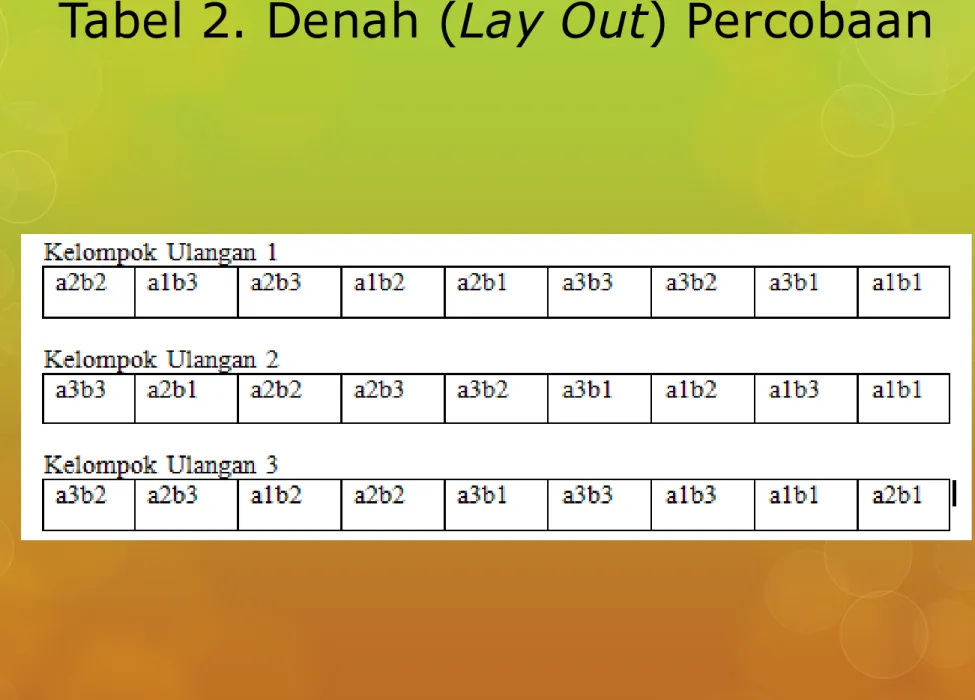 Tabel 2. Denah (Lay Out) Percobaan  