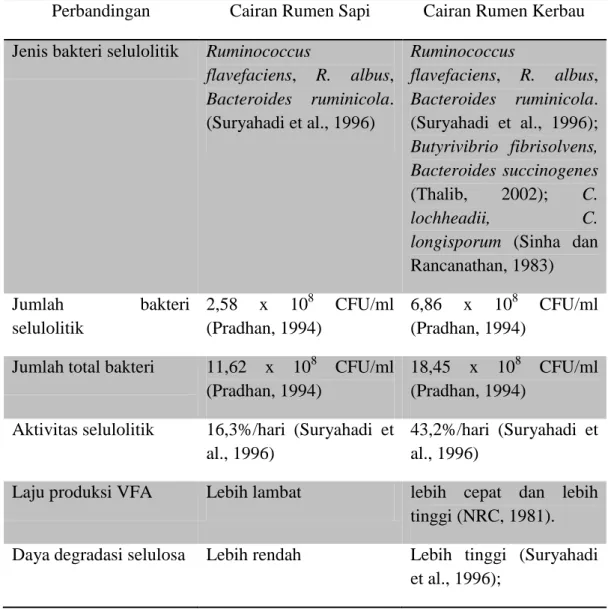Tabel  4.  Perbandingan  Secara  Spesifik  Inokulum  asal  Cairan  Rumen  Sapi  dan Kerbau 
