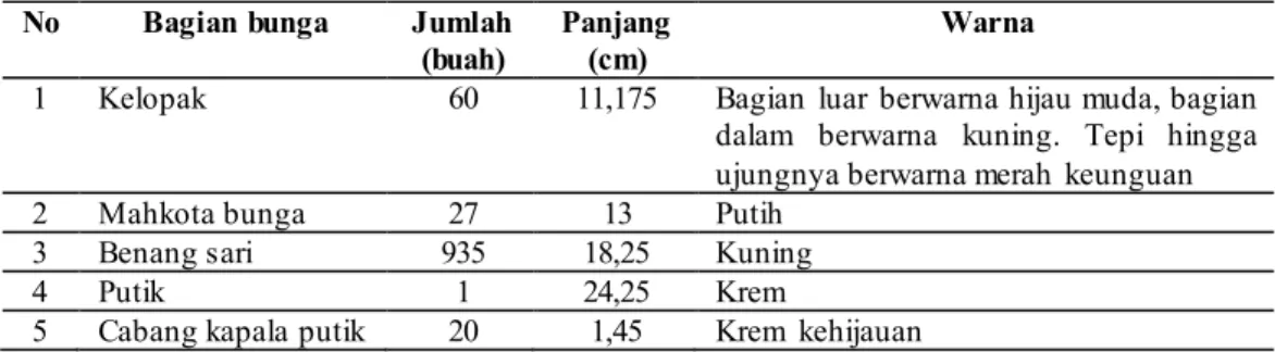 Tabel 1. Struktur Morfologi  Bunga Buah Naga Super Merah 