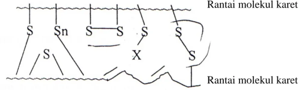 Gambar 2.6.  Struktur rangkaian  karet pada vulkanisasi sulfur terakselerasi (Ismail 