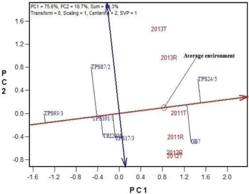 Gambar 2. Average Environment Coordinate (AEC) memperlihatkan GGE biplot  berdasarkan environment-focused scaling rata-rata hasil dan stabilitas genotip 