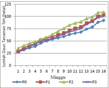 Tabel 2.  Jumlah daun tanaman teh pada minggu kesembilan hingga minggu ketujubelas dengan perbedaan  perlakuan dosis pupuk Nitrogen 