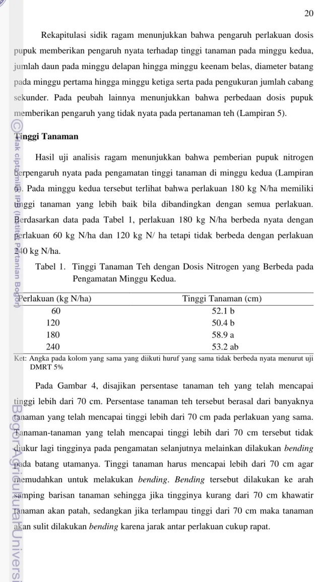 Tabel  1.    Tinggi  Tanaman  Teh  dengan  Dosis  Nitrogen  yang  Berbeda  pada      Pengamatan Minggu Kedua