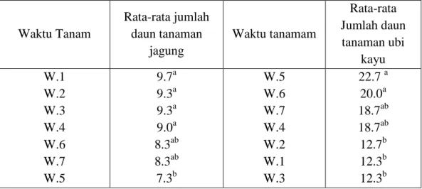 Tabel  2  juga  memperlihatkan  bahwa tanaman jagung yang ditanam lebih  lambat  5  hari  dari  ubi  kayu  (W.5)  menghasilkan  rata-rata  jumlah  daun 