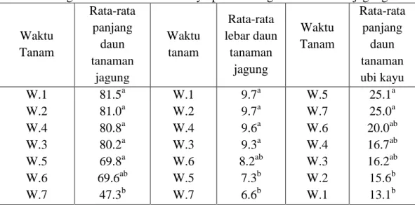 Tabel 3.    Rata-rata panjang (cm), lebar daun (cm) tanaman jagung dan pangjang  tangkai daun tanaman ubi kayu pada berbagai waktu tanam jagung