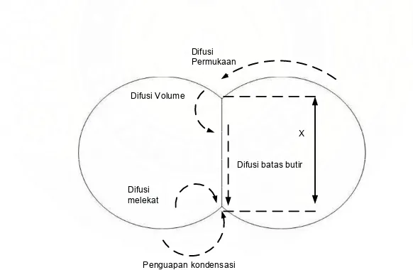 Gambar 2.4  Model Dua Bola sebagai Butiran Saling Kontak (Richardson, 1982) 