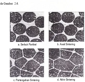 Gambar 2.6 Perubahan Mikro Struktur Keramik (William, 1991) 