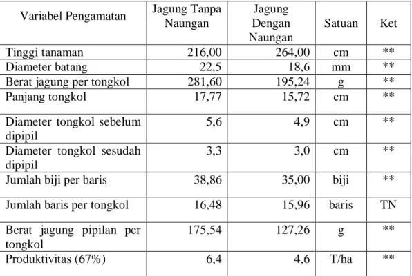 Tabel 1.  Keragaan berbagai variabel pengamatan pada perlakuan jagung tanpa naungan  dan dengan naungan pada saat panen