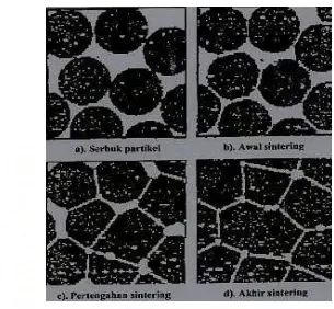 Gambar 2.10. Perubahan mikrostruktur keramik selama proses sintering             (Reynen P, 1979 dan William C, 1991)  