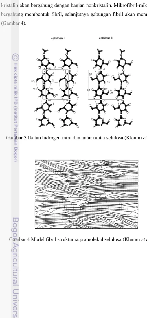 Gambar 3 Ikatan hidrogen intra dan antar rantai selulosa (Klemm et al. 1998). 