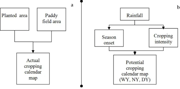 Figure 2. Flow chart of (a) actual and (b) potential cropping calendar map delineation