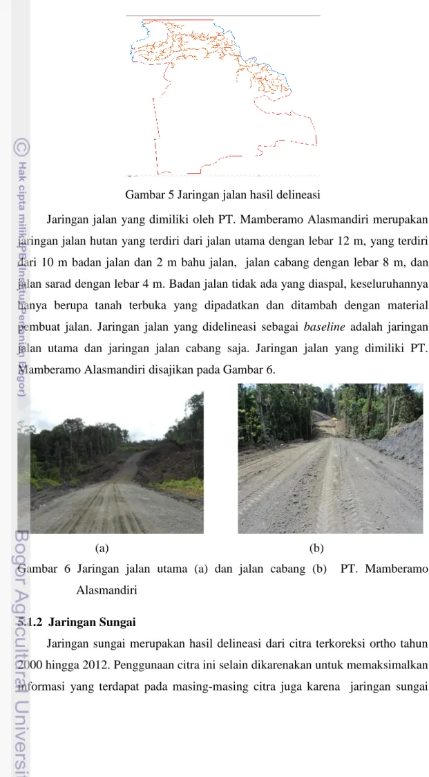 Gambar  6  Jaringan  jalan  utama  (a)  dan  jalan  cabang  (b)    PT.  Mamberamo  Alasmandiri 