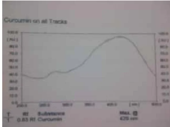 Gambar 1. Kromatogram Kurkumin BP dan kurkumin  dalam tablet temulawak pada sinar biasa 