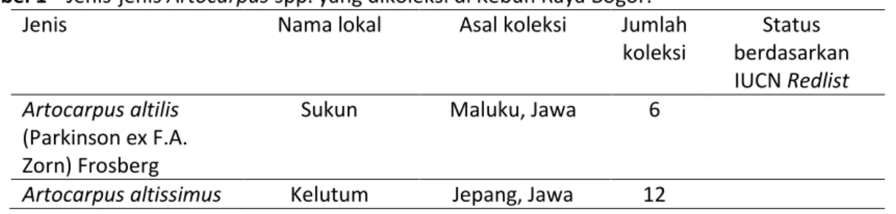 Tabel 1   Jenis-jenis Artocarpus spp. yang dikoleksi di Kebun Raya Bogor. 