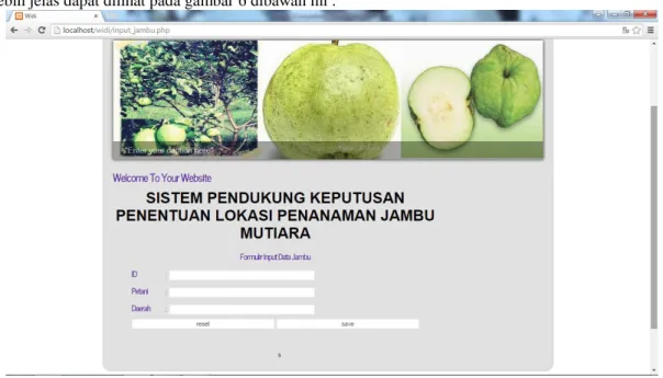 Gambar 6. Tampilan Form Input daerah 