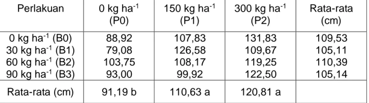 Tabel 1.  Pengaruh perlakuan pupuk Petrobio dan Phonska terhadap rata- rata-rata tinggi tanaman pada akhir fase vegetatif  