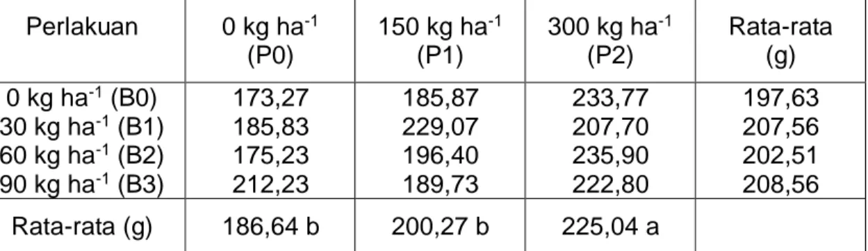Tabel 2.  Pengaruh perlakuan pupuk Petrobio dan Phonska terhadap rata- rata-rata berat 1.000 biji  