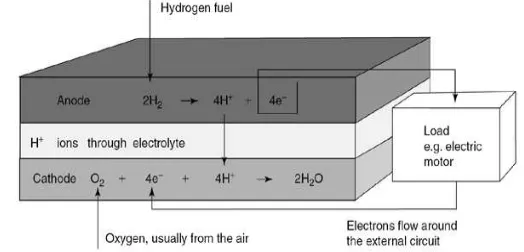 Gambar 12 Prinsip kerja fuel cell (Sundmacher, 2007) 
