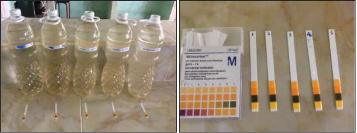 Gambar 1. Pengujian pH dari sampel air tanah UMSB 