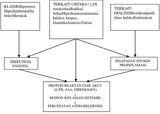 Gambar  2.3Faktor  resiko  aterosklerosis  pada  uremia  (Santoro  danMancini, 2002). 
