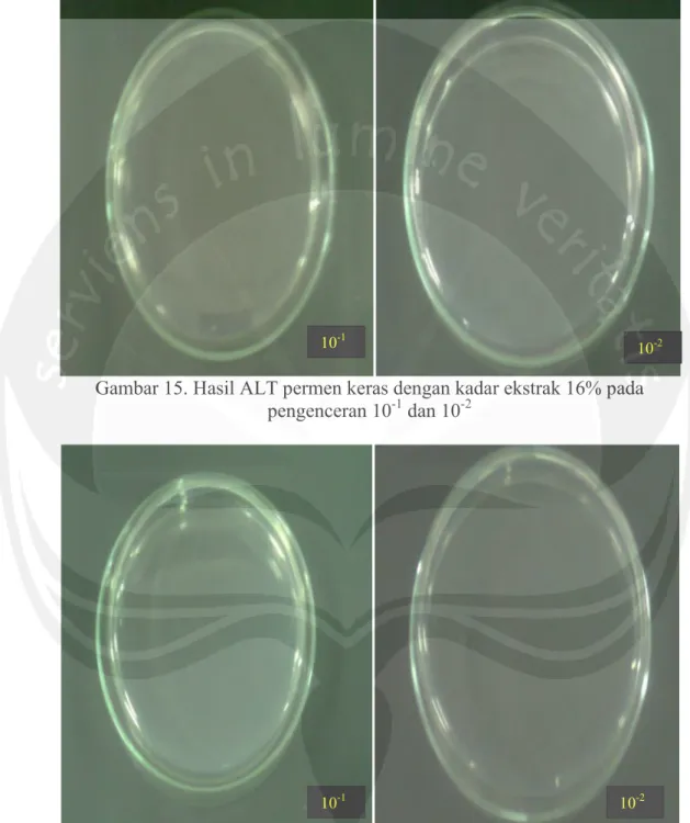 Gambar 15. Hasil ALT permen keras dengan kadar ekstrak 16% pada pengenceran 10 -1 dan 10 -2