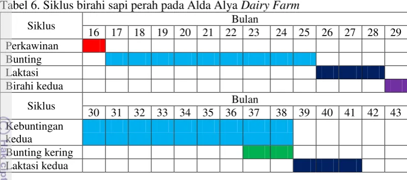 Tabel 6. Siklus birahi sapi perah pada Alda Alya Dairy Farm 