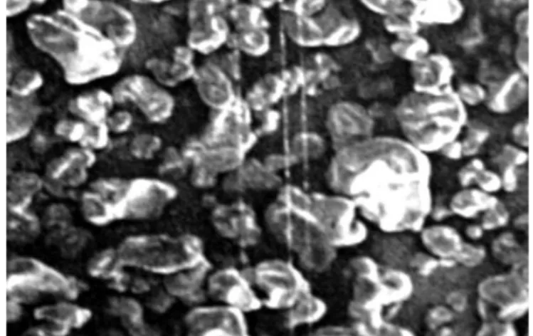 Gambar  5.  Granula  pati  pregelatinisasi  (500x)  metode  spray  cooked  (a)  dan drum dried (b) (Mitolo, 2006) 
