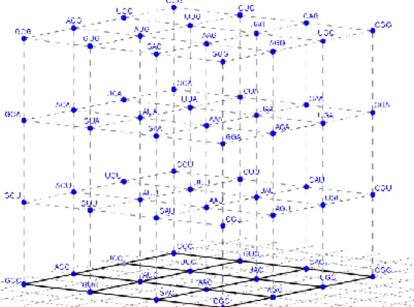 Gambar 2.  Representasi Kode Genetik Standar dalam Multicube     