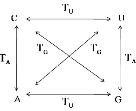 Gambar 3.  Translasi Non Trivial 