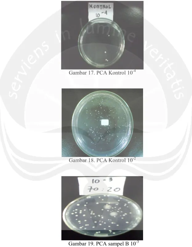 Gambar 17. PCA Kontrol 10 -4                                      