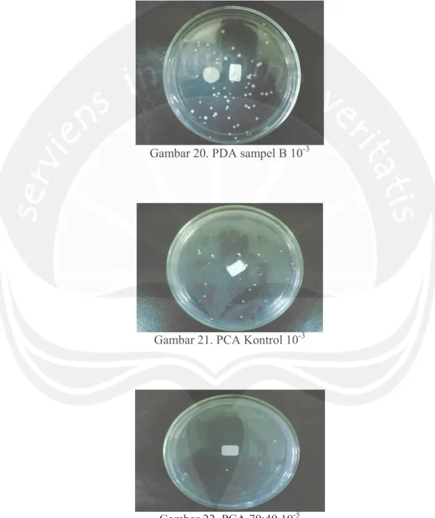 Gambar 20. PDA sampel B 10 -3 