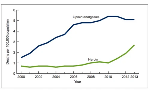 Grafik 3. Jumlah Kematian akibat Heroin tahun 2000- 2000-2013 di Amerikat Serikat  