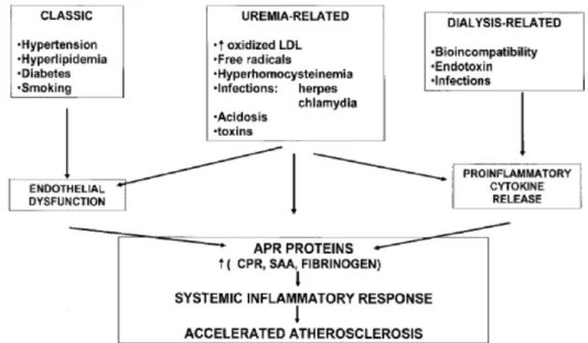 Gambar 2.6 Faktor-faktor risiko terhadap atherosklerosis pada keadaan  uremia dan dialisis (Santoro, Mancini, 2002)