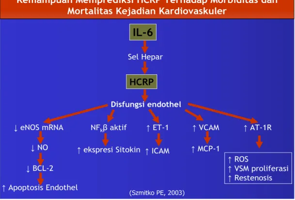 Gambar 2.8 Pengaruh hs-CRP terhadap disfungsi endotel dan produksi sitokin                                                                                             (Szmitko, 2003) 