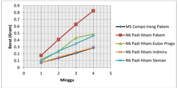 Gambar 10.Pertumbuhan kalus dilihat dari masa kalus yang terbentukpada padi hitam Pakem,  Kulon Progo, Indmira, dan Slemansetiap minggu