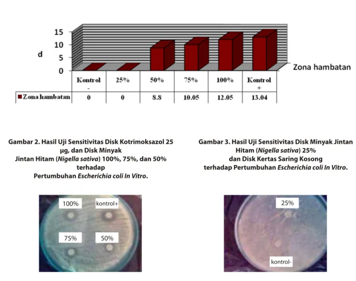 Gambar 1. Grafik Rata-rata Diameter Zona Hambatan Kuman Escherichia coli Masing-masing Kelompok Perlakuan