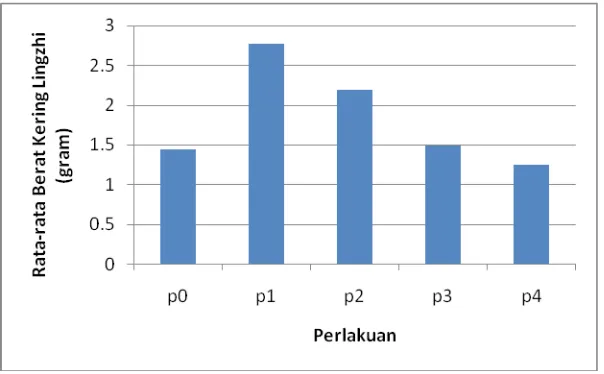 Gambar 4.3 Diagram Batang Pengaruh Penambahan Limbah Cair Tahu  pada Media TumbuhSabut Kelapa Terhadap Rata-rata Berat Kering Lingzhi.Berdasarkan Gambar 4.3, nilai rata-rata berat kering pada perlakuan p2, p3, dan p4