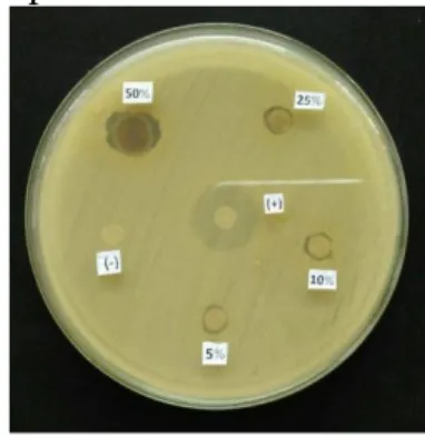 Gambar  6.  Hasil  uji  antibakteri  fraksi  kloroform  biji  C.  moschata  terhadap  S