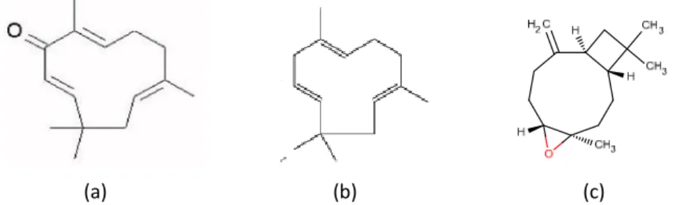 Gambar 1. Struktur zerumbone (a) alpha-humulene (b) dan caryophyllene oxide (c) (Yu et al.,  2010) 