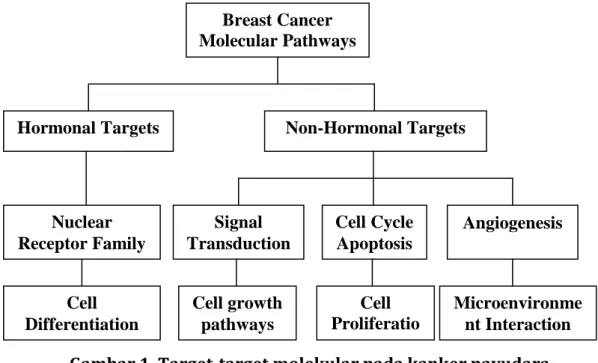 Gambar 1. Target-target molekular pada kanker payudara  (Cristofanilli and Hortobagyi, 2002) 
