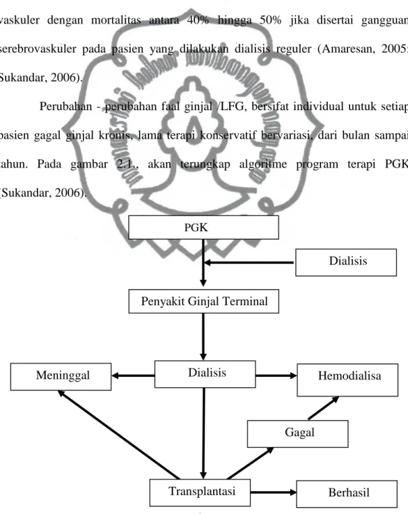 Gambar 2.1. Algoritme Program Terapi PGK (Sukandar, 2006). 