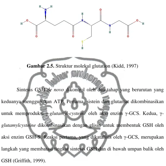 Gambar 2.5. Struktur molekul glutation (Kidd, 1997) 