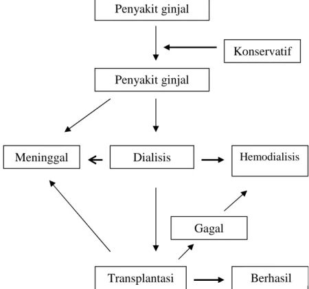 Gambar 2.1 Algoritma Program Terapi Penyakit Ginjal Kronik                       (Sukandar, 2006) 