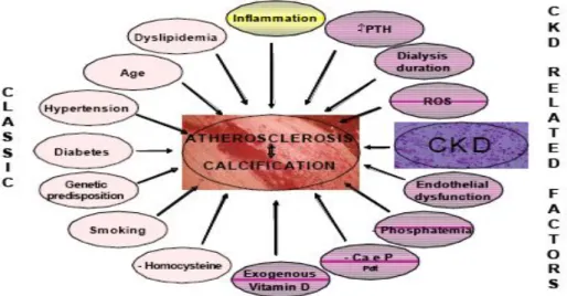 Gambar 2.2.Menjelaskan patogenesis PJV pada pasien PGK  (Dikutip dari Nolan , 2005) 