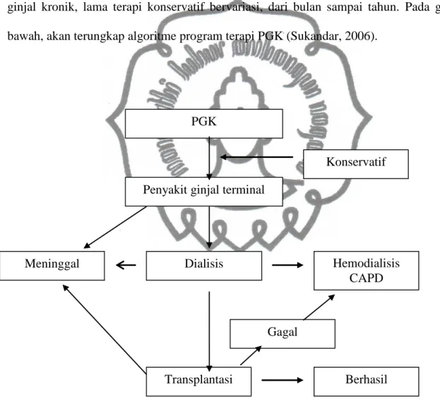 Gambar 2.1. Algoritme Program Terapi PGK (Sukandar, 2006). 