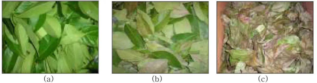 Gambar 1. Warna daun salam hasil perlakuan  curing     (a) 0 hari (b) 2 hari (c) 4 hari 