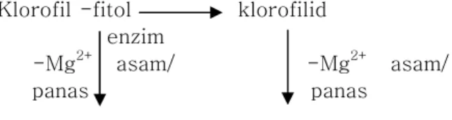 Gambar 2. Proses degradasi klorofil  (Von Elbe and Schwartz,1996) 