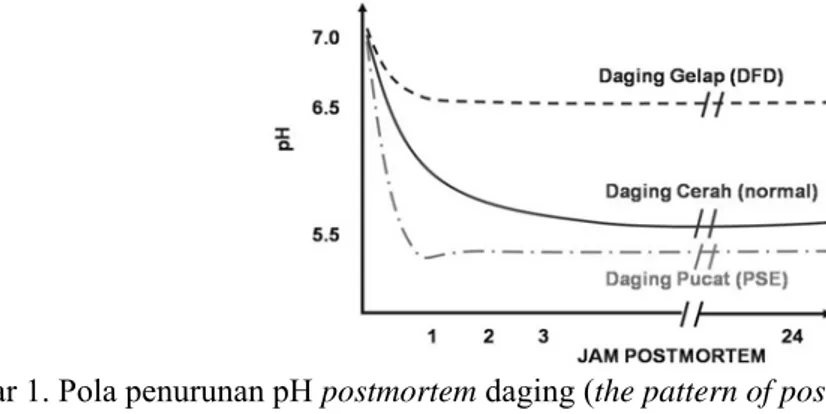 Gambar 1. Pola penurunan pH postmortem daging (the pattern of postmortem pH decrease of meat) 